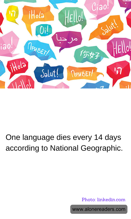 General Knowledge Learning Cards