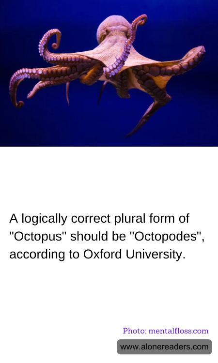 A logically correct plural form of "Octopus" should be "Octopodes", according to Oxford University.