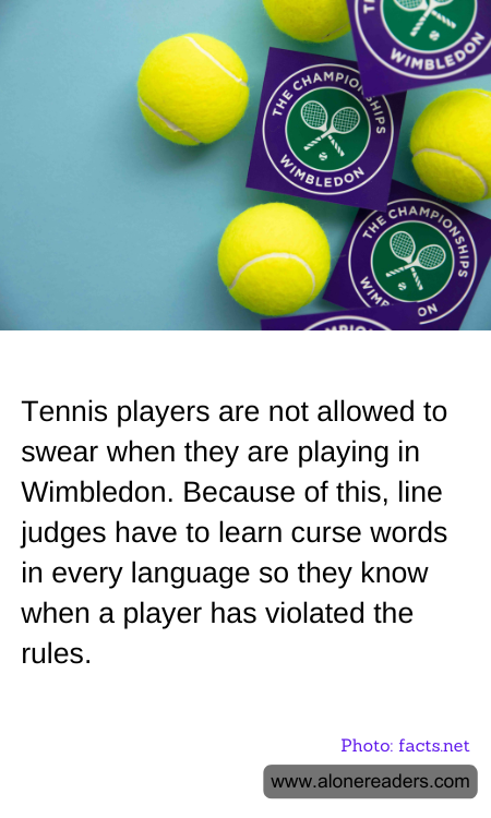 General Knowledge Learning Cards