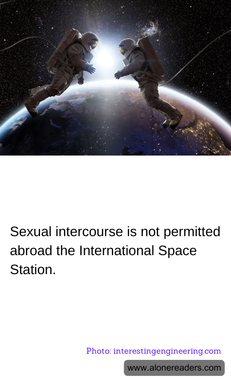 General Knowledge Learning Cards