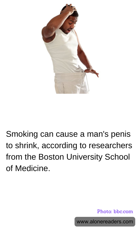 General Knowledge Learning Cards