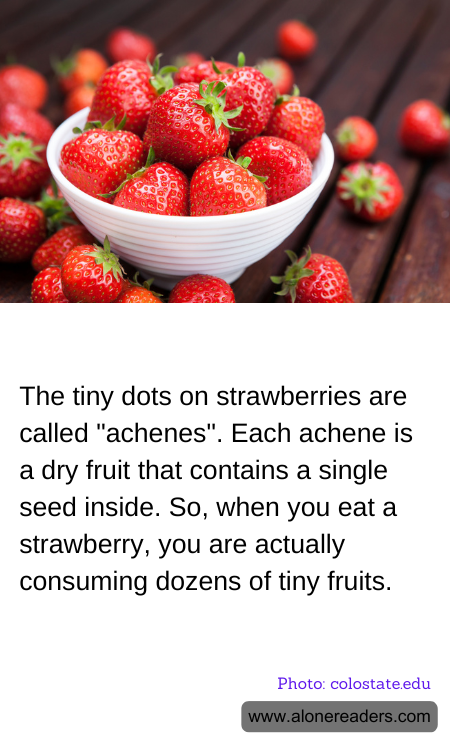 The tiny dots on strawberries are called "achenes". Each achene is a dry fruit that contains a single seed inside. So, when you eat a strawberry, you are actually consuming dozens of tiny fruits.