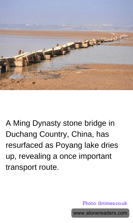 A Ming Dynasty stone bridge in Duchang Country, China, has resurfaced as Poyang lake dries up, revealing a once important transport route.