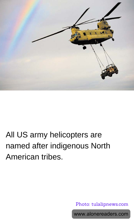 General Knowledge Learning Cards