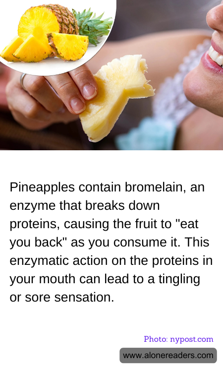 General Knowledge Learning Cards