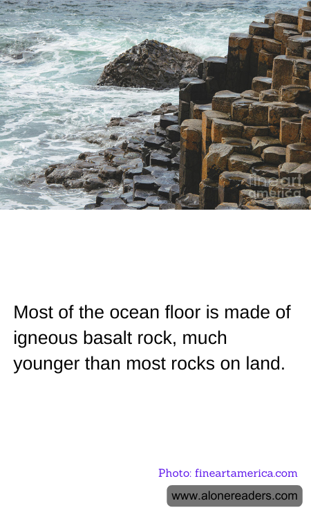 General Knowledge Learning Cards