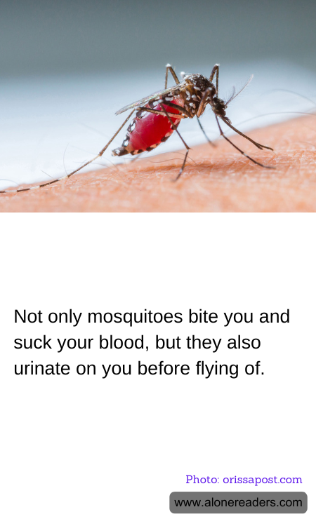 General Knowledge Learning Cards