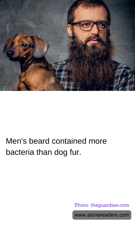 Men's beard contained more bacteria than dog fur.