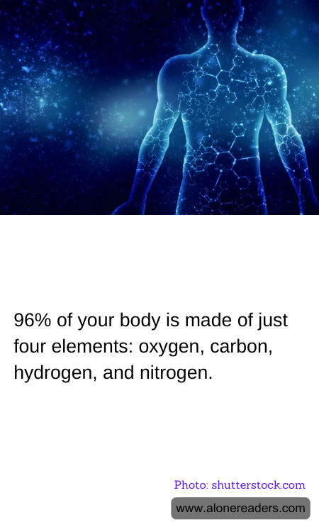 96% of your body is made of just four elements: oxygen, carbon, hydrogen, and nitrogen.