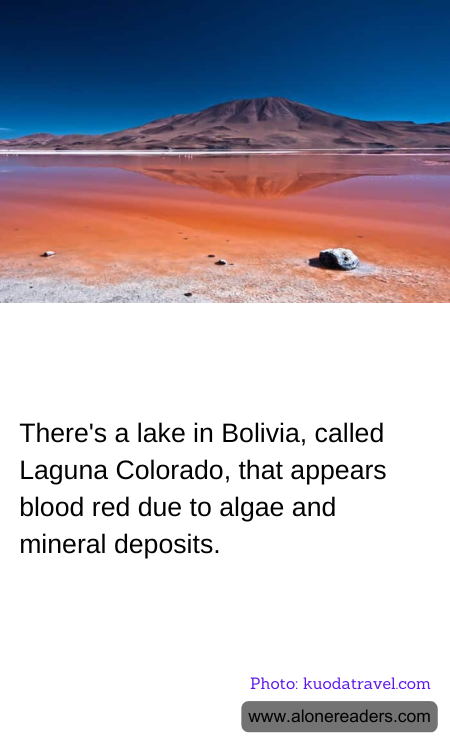 There's a lake in Bolivia, called Laguna Colorado, that appears blood red due to algae and mineral deposits.