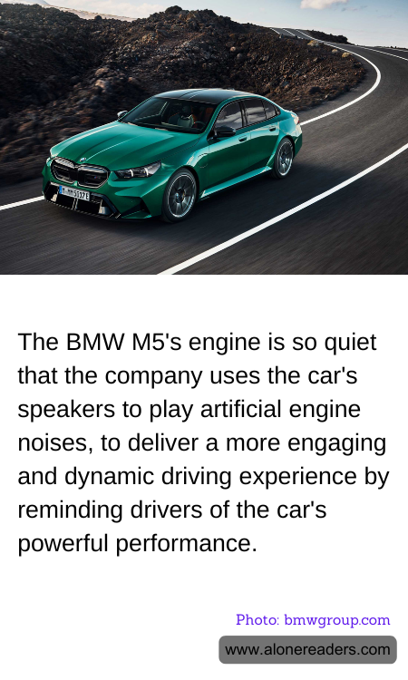 General Knowledge Learning Cards