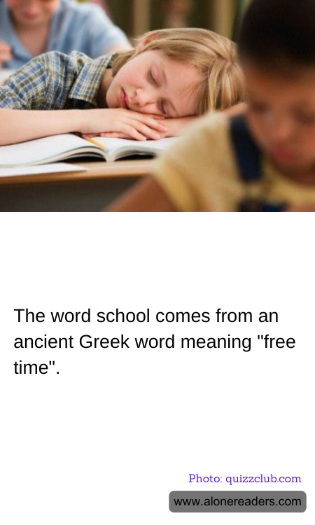 General Knowledge Learning Cards