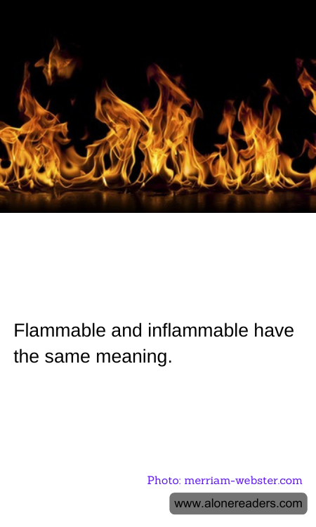 General Knowledge Learning Cards