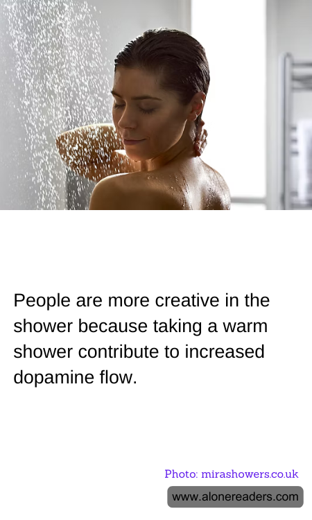 General Knowledge Learning Cards