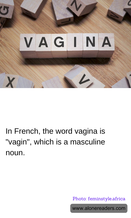 General Knowledge Learning Cards