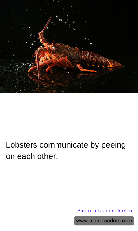 Lobsters communicate by peeing on each other.
