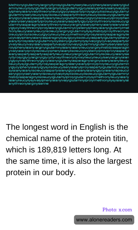 The longest word in English is the chemical name of the protein titin, which is 189,819 letters long. At the same time, it is also the largest protein in our body.