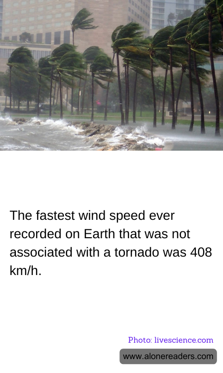 General Knowledge Learning Cards