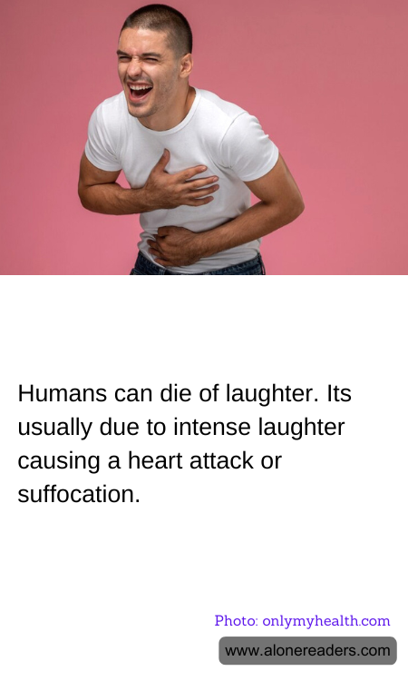 General Knowledge Learning Cards