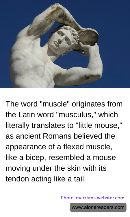 General Knowledge Learning Cards