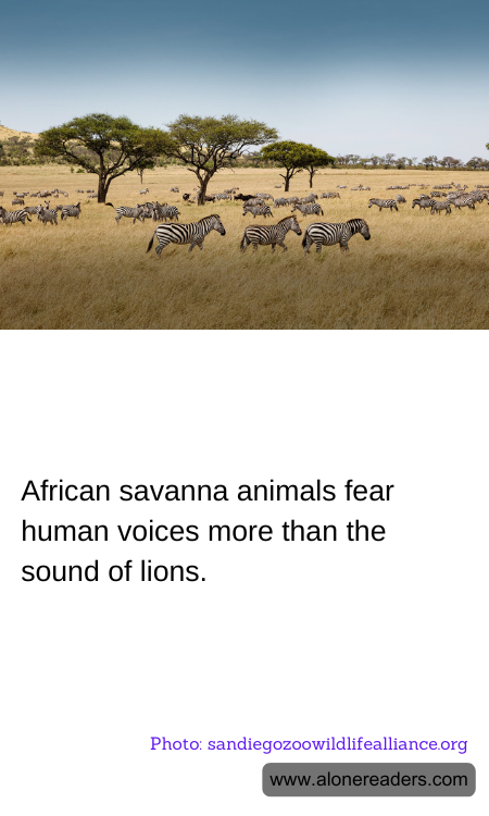 General Knowledge Learning Cards