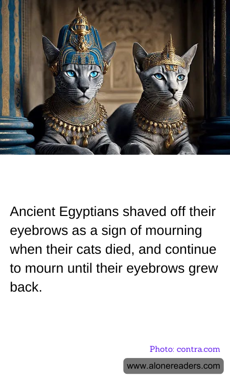 Ancient Egyptians shaved off their eyebrows as a sign of mourning when their cats died, and continue to mourn until their eyebrows grew back.