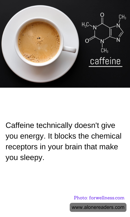 General Knowledge Learning Cards