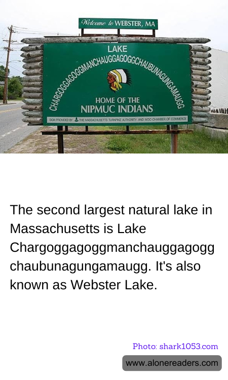 General Knowledge Learning Cards