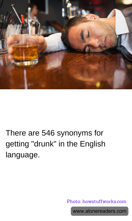 General Knowledge Learning Cards