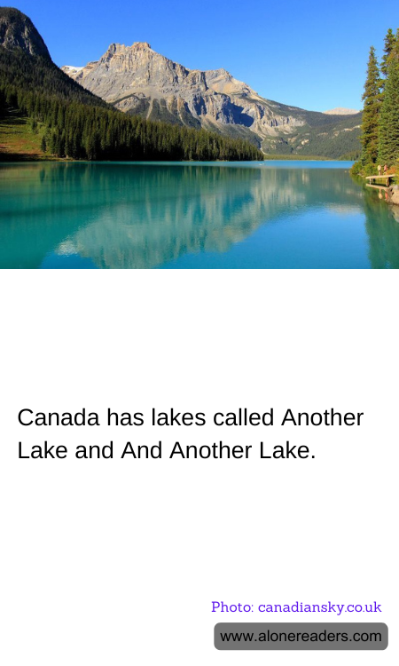 General Knowledge Learning Cards