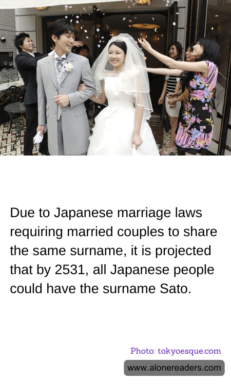 General Knowledge Learning Cards