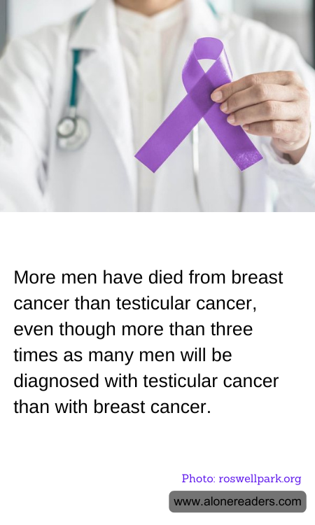 General Knowledge Learning Cards