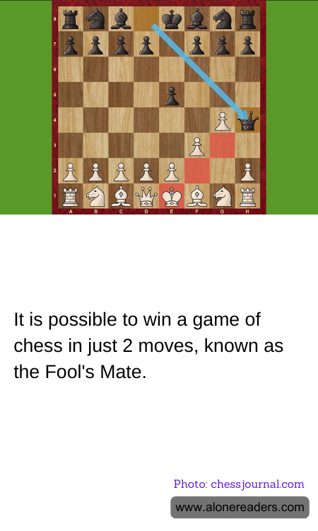 General Knowledge Learning Cards