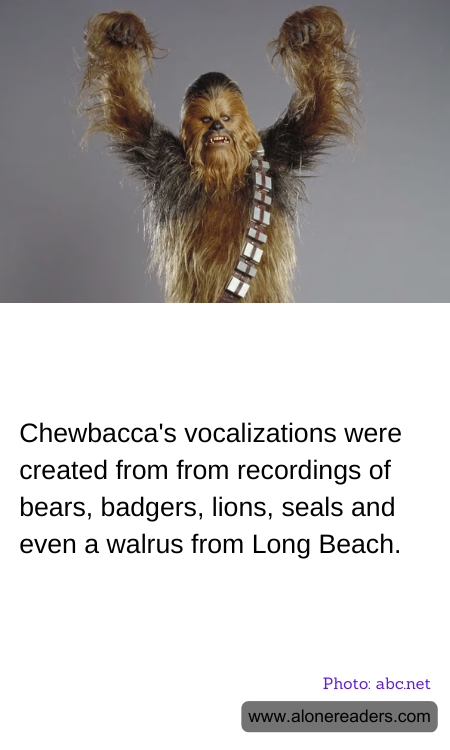 General Knowledge Learning Cards