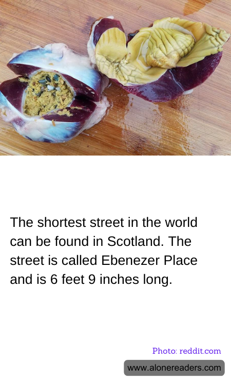 General Knowledge Learning Cards