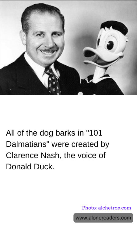 General Knowledge Learning Cards