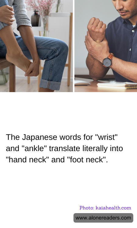 General Knowledge Learning Cards