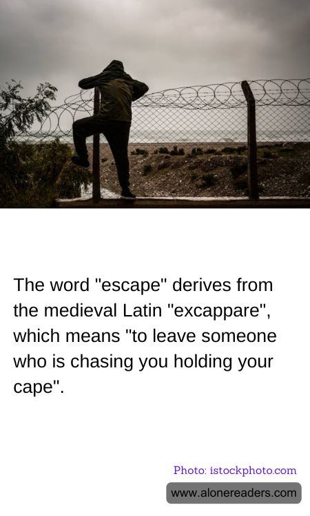 General Knowledge Learning Cards