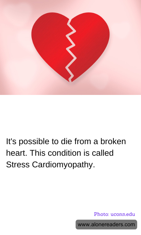 General Knowledge Learning Cards