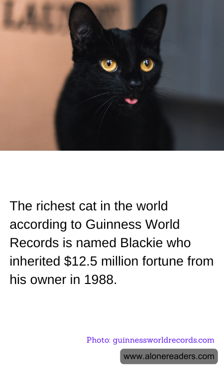 General Knowledge Learning Cards