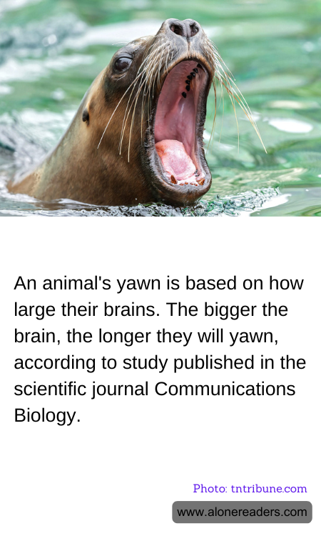 General Knowledge Learning Cards