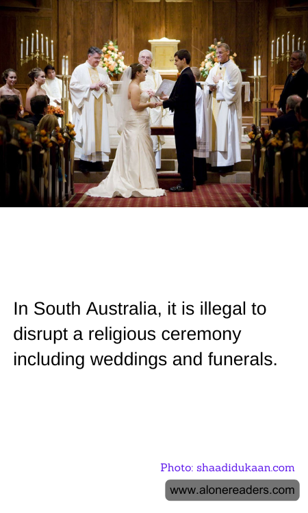 General Knowledge Learning Cards