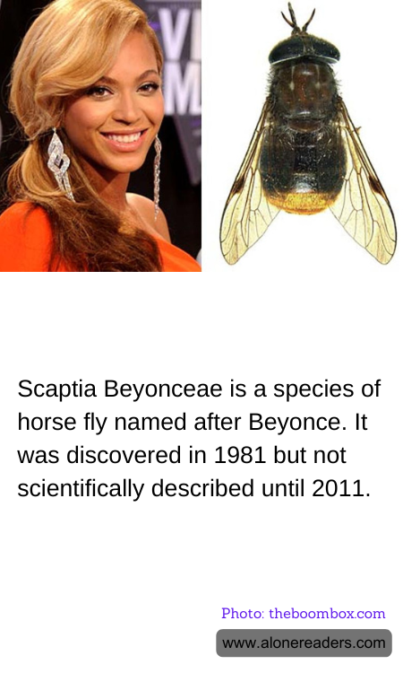 General Knowledge Learning Cards