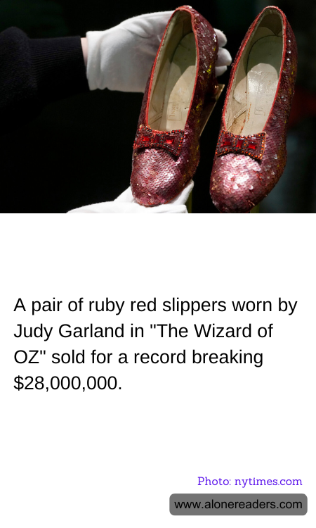 General Knowledge Learning Cards