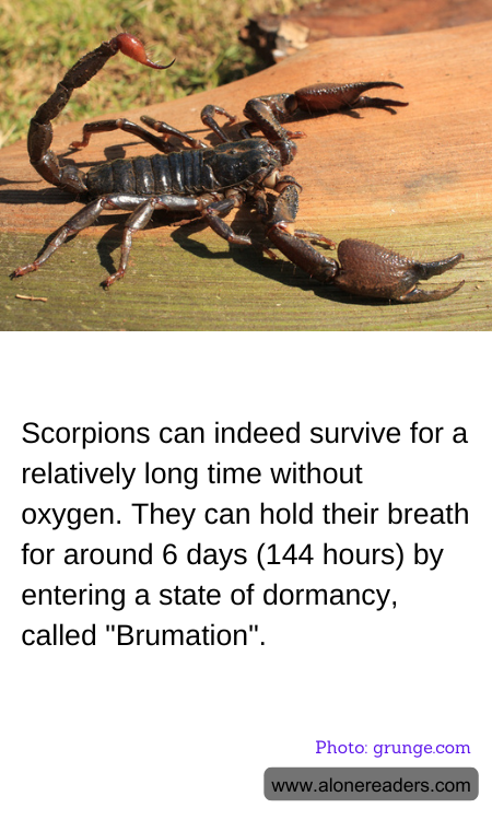 General Knowledge Learning Cards