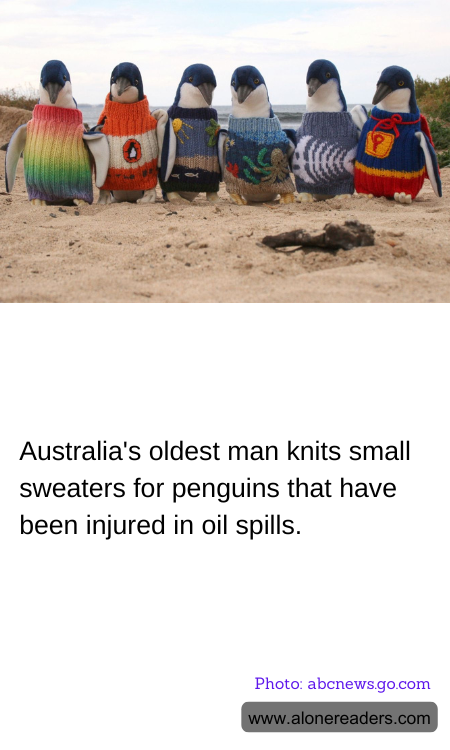 General Knowledge Learning Cards