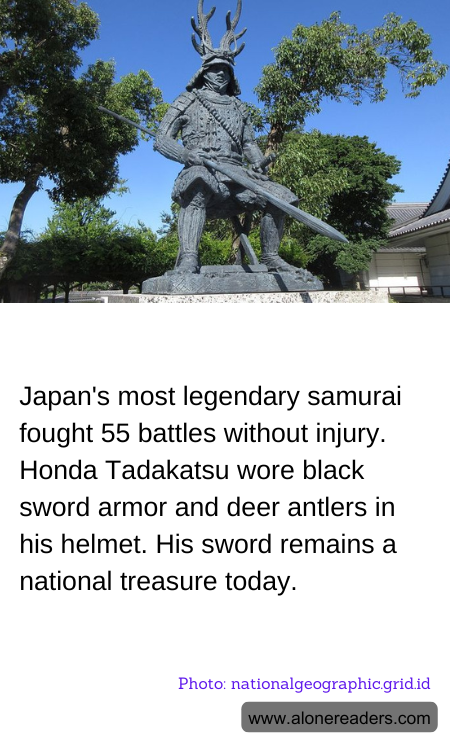 Japan's most legendary samurai fought 55 battles without injury. Honda Tadakatsu wore black sword armor and deer antlers in his helmet. His sword remains a national treasure today.