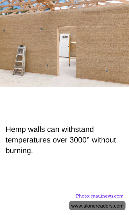 Hemp walls can withstand temperatures over 3000° without burning.