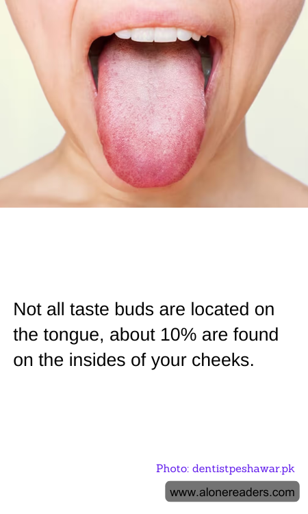 General Knowledge Learning Cards