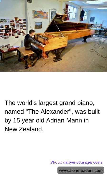 General Knowledge Learning Cards